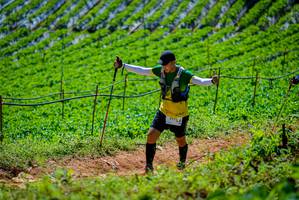 BIB: 2975
                            <button type="button" onclick="openModal(19164504)" class="btn btn-primary btn-sm float-right btn-popup" data-toggle="modal" data-target=".modal-high-quality">
                        <i class="fas fa-shopping-cart"></i> Add to Cart
                    </button>
                                            <button type="button" onclick="isThisMe(19164504, true)" class="btn btn-success btn-sm float-right btn-popup btn-isme hidden" data-toggle="tooltip" data-placement="bottom" title="นี่คือรูปของคุณใช่ไหม คลิกที่นี่เพื่อเอาเข้าอัลบั้ม">
                        <i class="fas fa-plus"></i> Add to album
                    </button>
                    <button type="button" onclick="isThisMe(19164504, false)" class="btn btn-warning btn-sm float-right btn-popup btn-isnotme hidden">
                        <i class="fas fa-ban"></i> Remove from album
                    </button>